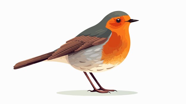 Vector elegant robin flat vector illustration on white background