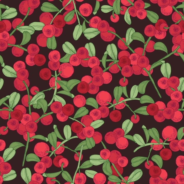 Elegant seamless pattern with arctic lingonberry on dark space