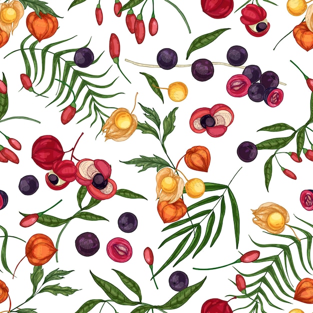 Elegant seamless pattern with fresh goji, acai, guarana, physalis fruits and berries on white background