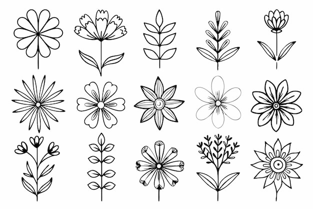 Elegant Set of Shallouette Flower Line Art