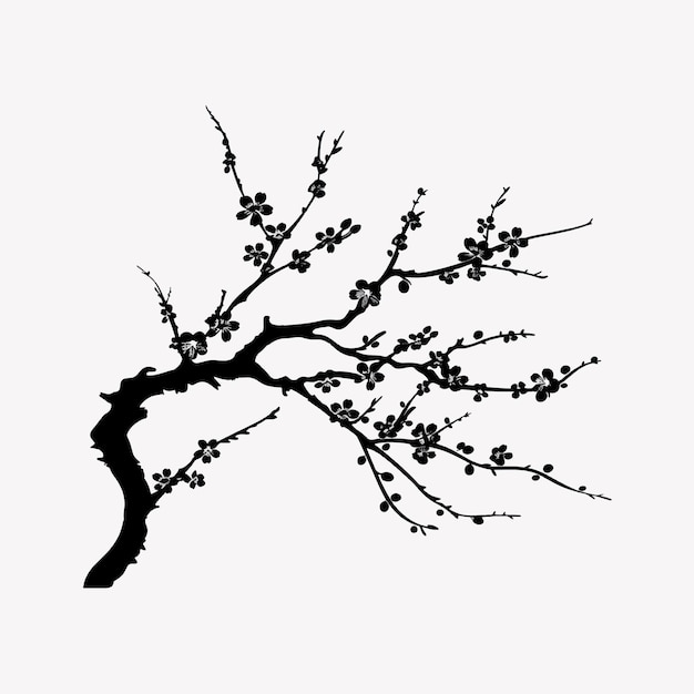 Elegant silhouette of blossoming branch