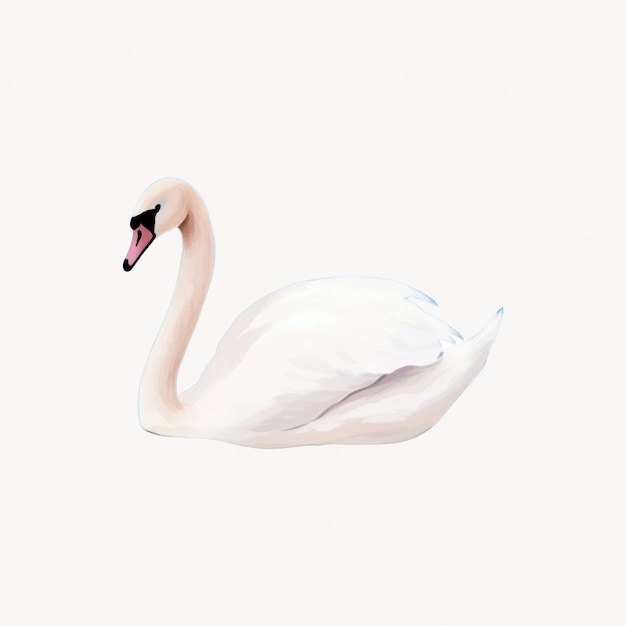 Vector elegant swan illustration on white