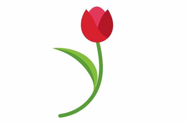 Vector elegant tulip with a curved stem a floral delight