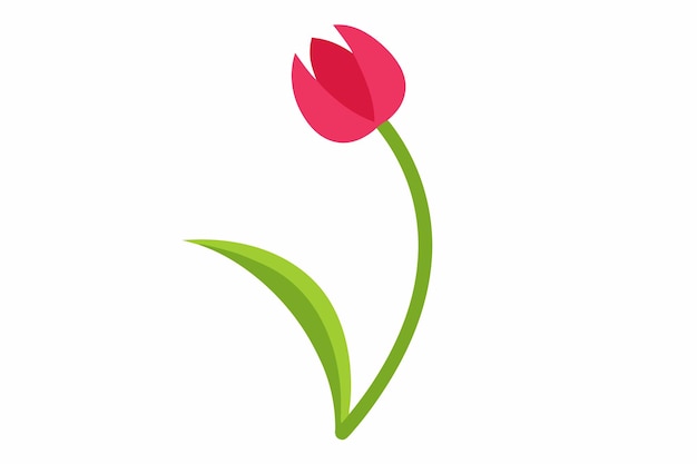 Vector elegant tulip with a curved stem a floral delight