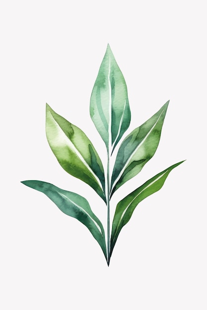 Elegant watercolor green plant illustration