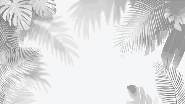 Vector elegant white background with shadow of palm leaves graphic