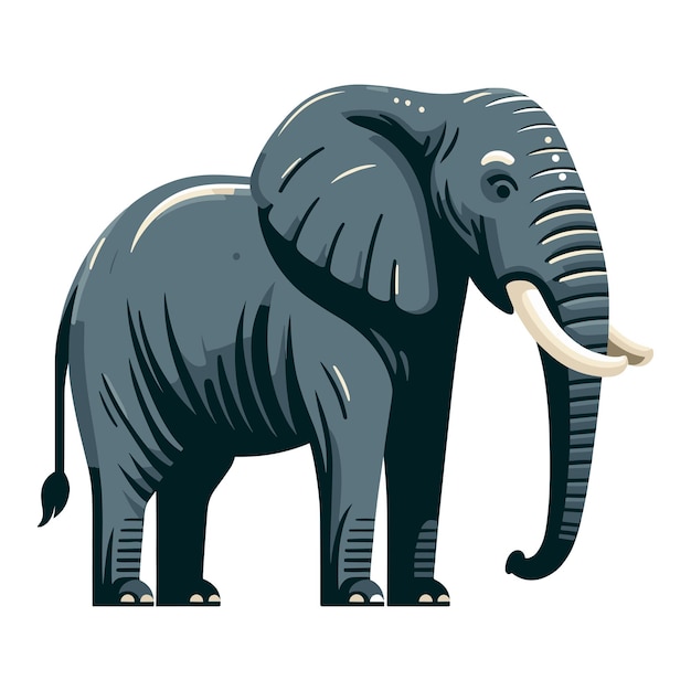 Elephant full body vector illustration zoology illustration African safari wild animal design