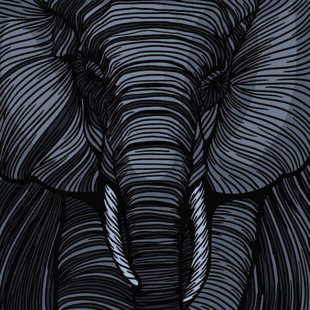 Elephant illustration