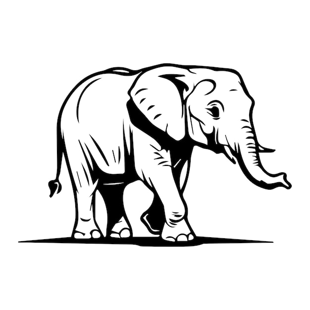 Elephant Logo Icon Monochrome Black and White Design Illustration