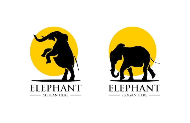 elephant logo vector design silhouette