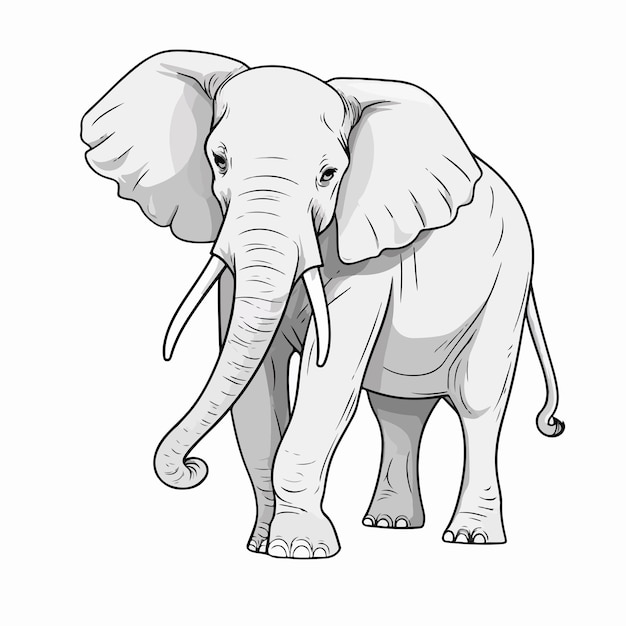 Vector elephant outline vector illustration isolated on white background