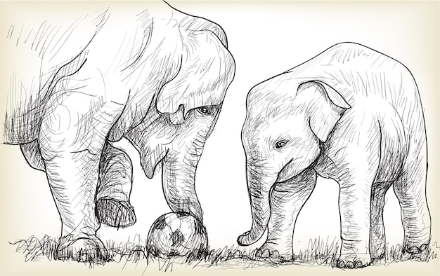 Elephant playing football illustration