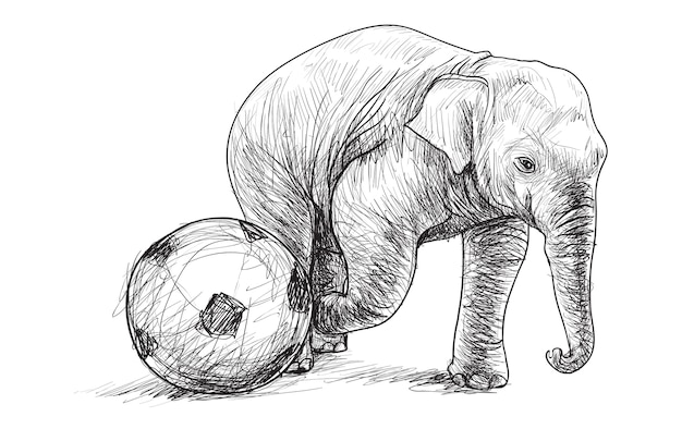 Elephant playing football illustration