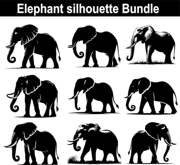 Elephant silhouette vector white background