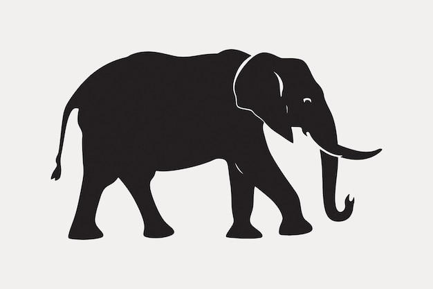 Vector elephant silhouette on white background