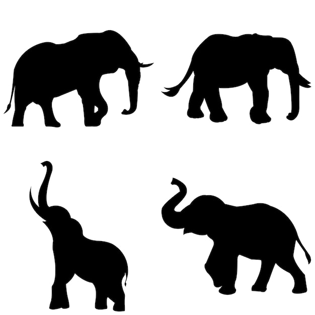 Elephant silhouette