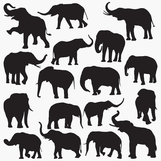 Elephant Silhouettes 