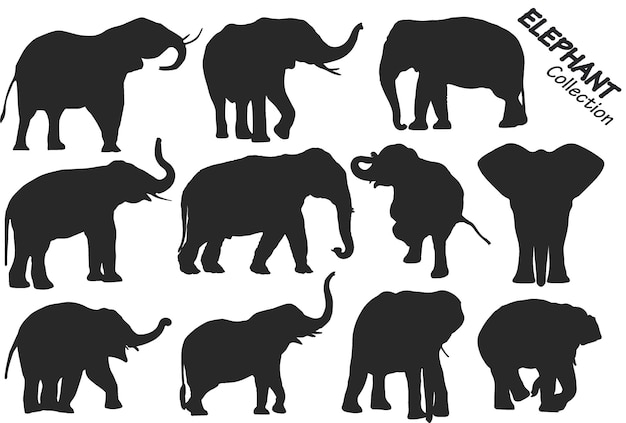 Elephant silhouettes