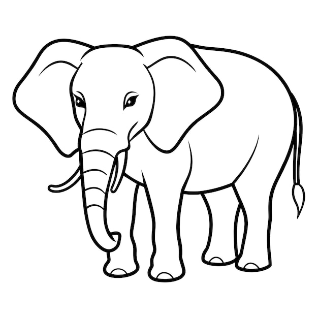 Vector elephant vector illustration