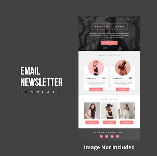 Email Newsletter for Fashion