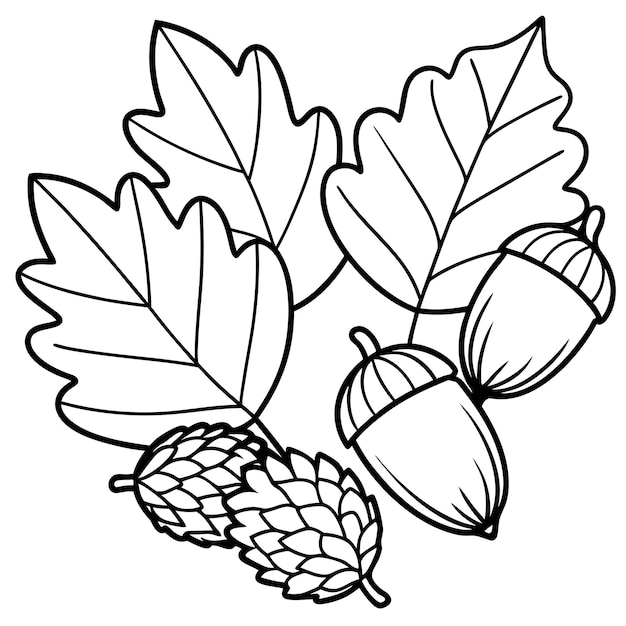 Vector the emblem of doodle depicts the leaves and fruits of an oak tree an acorns contour image