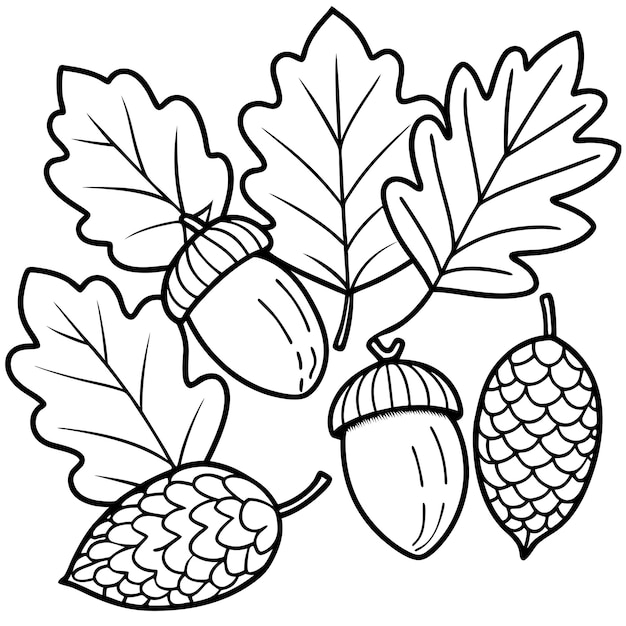 The emblem of Doodle depicts the leaves and fruits of an oak tree An acorns contour image