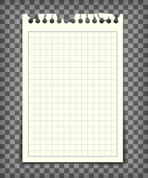 Empty checkered note book page with torn edge