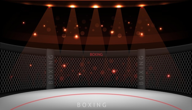 Empty mma arena or mma ring side view under lights complete tribune