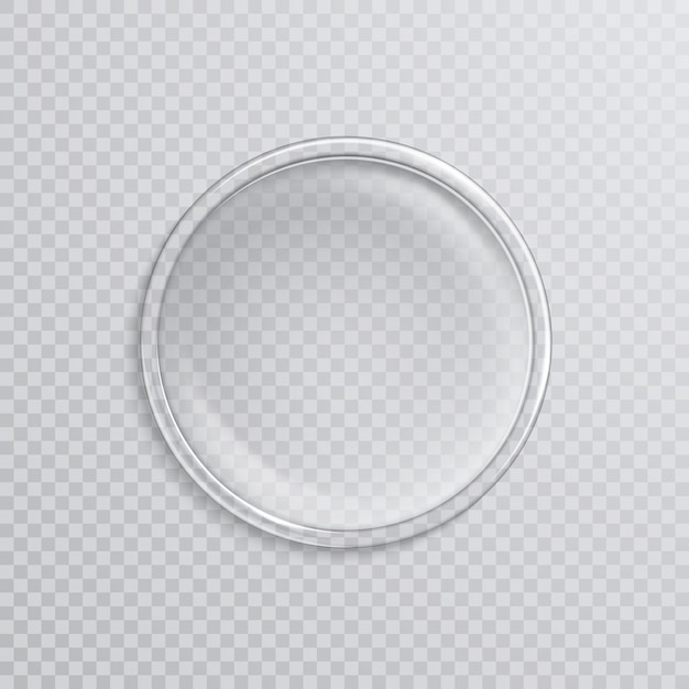 Empty realistic petri dish isolated on transparent.