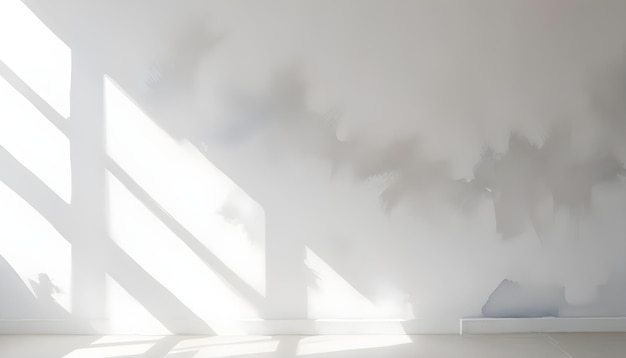 Empty room with white walls and sunlight streaming through window