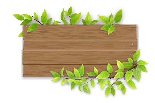 Empty wooden sign with space for text on a background of tree branches with green leaves