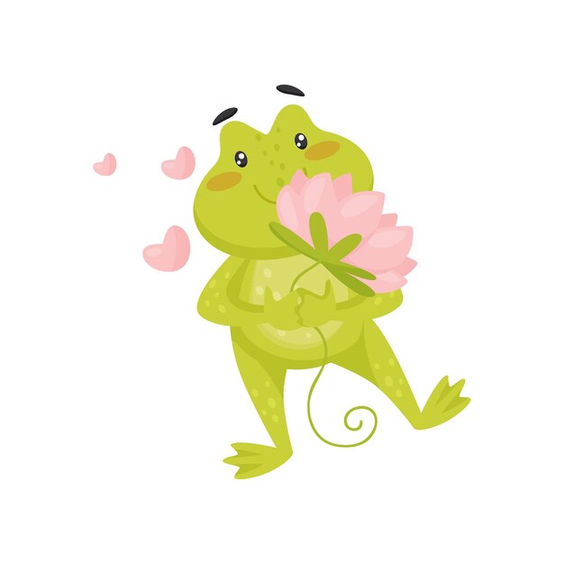 Vector enamored green frog with lotus flower in paws pink hearts flying in the air cartoon character of adorable toad with pink cheeks element for postcard or children book isolated flat vector design