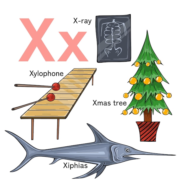 English alphabet, The letters X. Preschool and school education concept