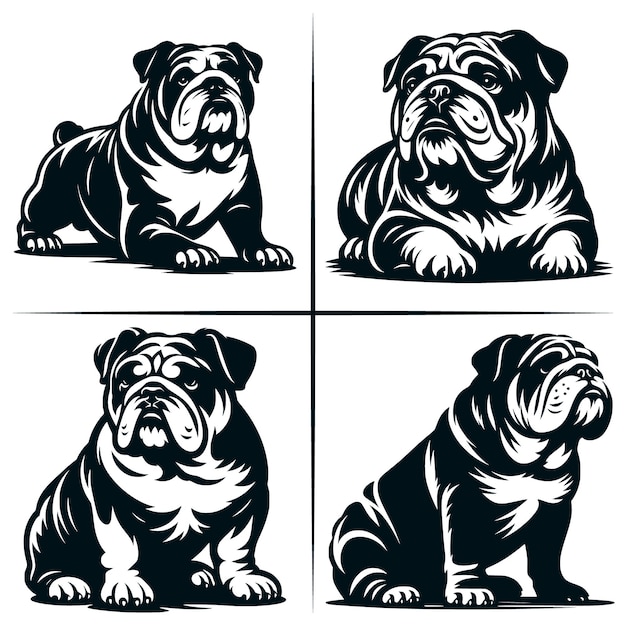 English Bulldog 01 SVG Cut File English Bulldog SVG Cute American Bulldog Bundle of 4 Cute SVG Cut File