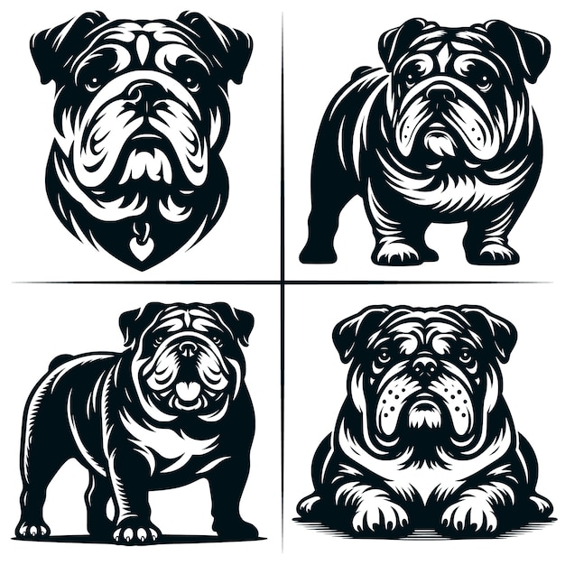 English Bulldog 01 SVG Cut File English Bulldog SVG Cute American Bulldog Bundle of 4 Cute SVG Cut File