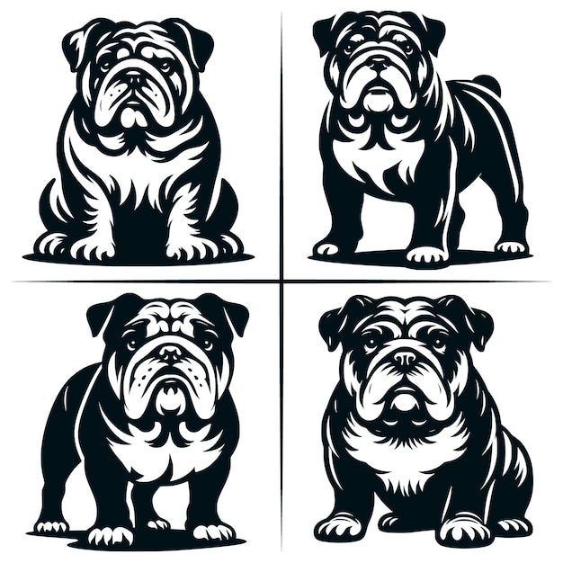 English Bulldog 01 SVG Cut File English Bulldog SVG Cute American Bulldog Bundle of 4 Cute SVG Cut File