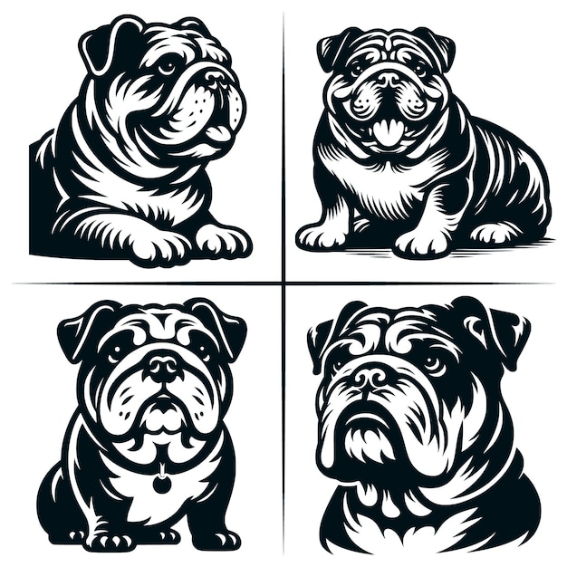 English Bulldog 01 SVG Cut File English Bulldog SVG Cute American Bulldog Bundle of 4 Cute SVG Cut File