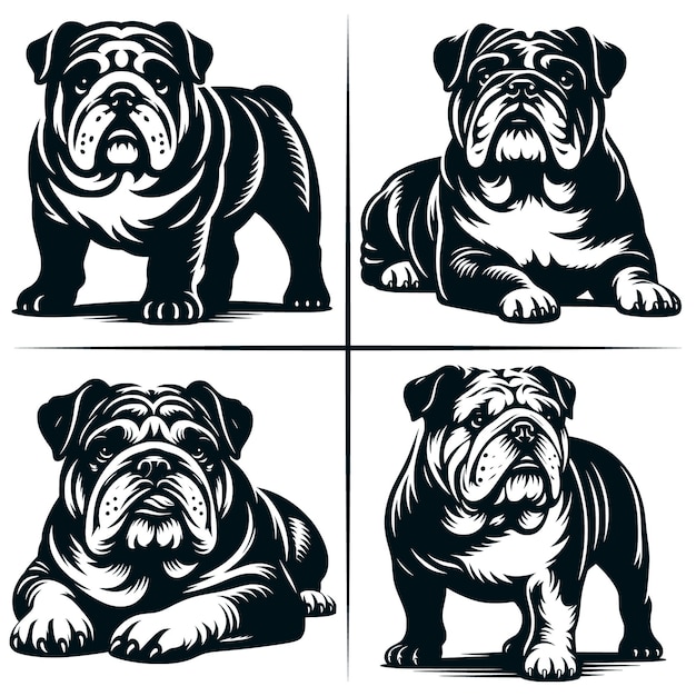 Vector english bulldog 01 svg cut file english bulldog svg cute american bulldog bundle of 4 cute svg cut file