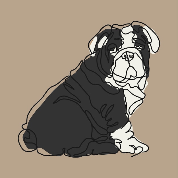 English bulldog