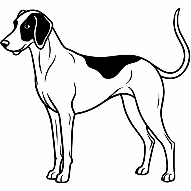 Vector english foxhound vector illustration line art