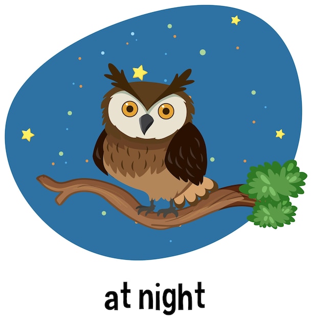 English prepositions of time with night scene