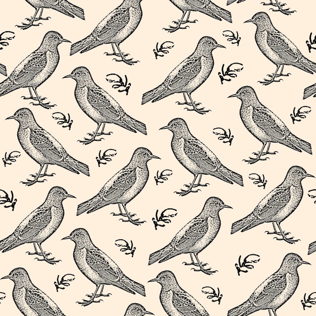 Engraving hand drawn birds sketch pattern Black starlings on background Vector fauna illustration Template for luxury textiles paper