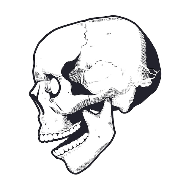 Engraving Style Skull With Open Mouth. Black and white