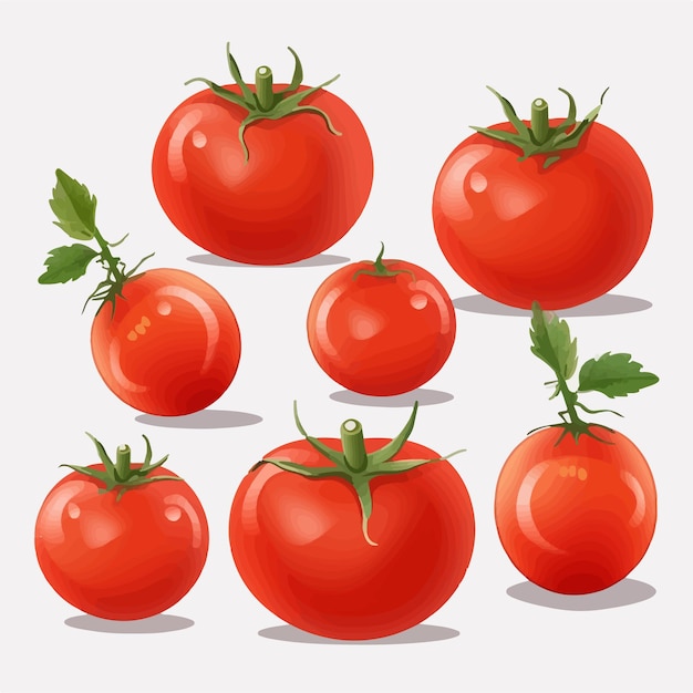 Enhance your artwork with this pack of highquality tomato vector graphics