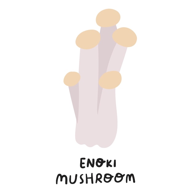 Enoki mushroom. Flat hand drawn vector illustration on white background.