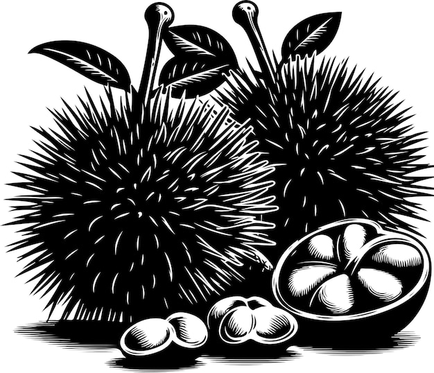 Entawak fruit vector black color silhouette