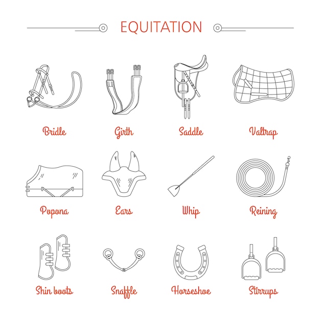 Equitation equestrian sport equipment vector icons