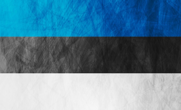 Estonian grunge flag abstract textural background Vector design