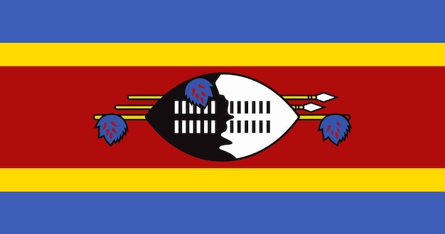 Eswatini flags in vector