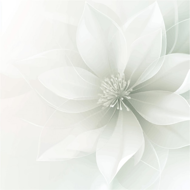 Ethereal White Lotus Blossoms Delicate Petals and Graceful Forms on Soft Gray Background